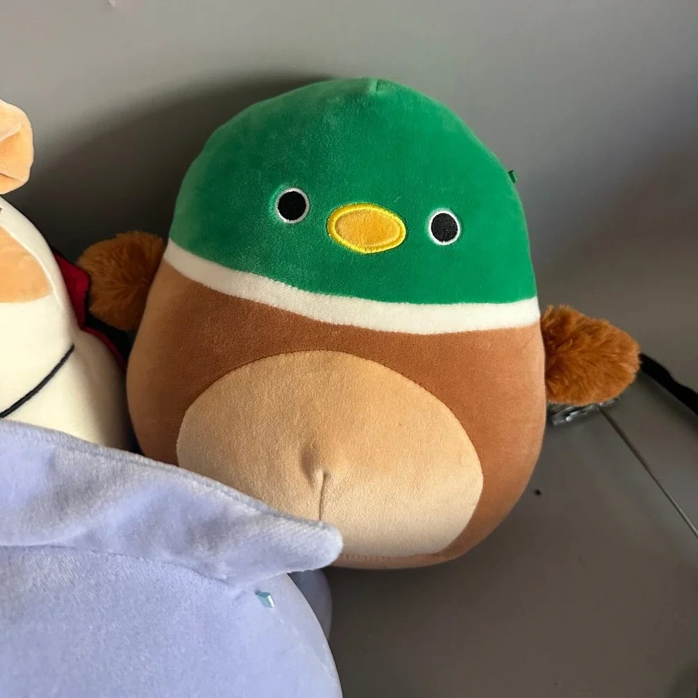 Squishmallows Bundle Avery Mallard Duck Brock Bulldog Cat Squid Plush 3pk